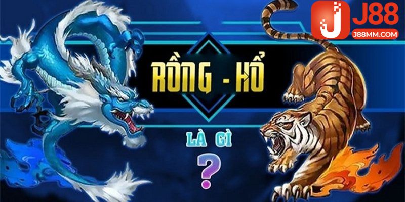 Cái nhìn tổng quan về game bài Rồng Hổ J88 Cái nhìn tổng quan về game bài Rồng Hổ J88