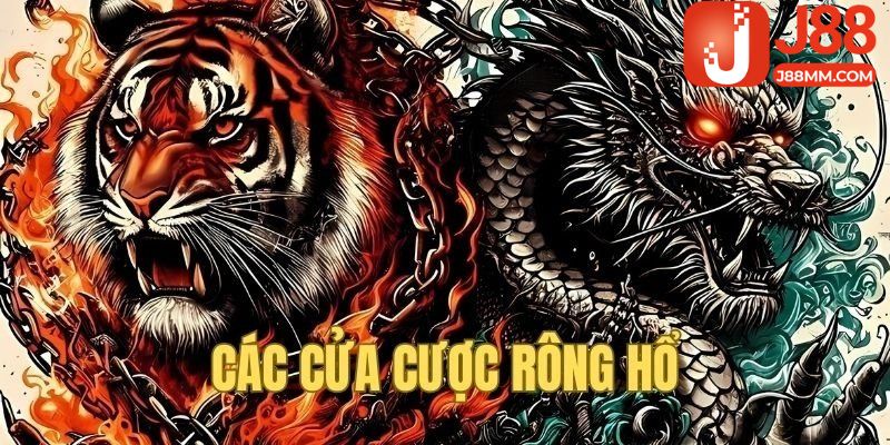 Chi tiết về luật chơi Rồng Hổ J88 cho tân thủ Chi tiết về luật chơi Rồng Hổ J88 cho tân thủ