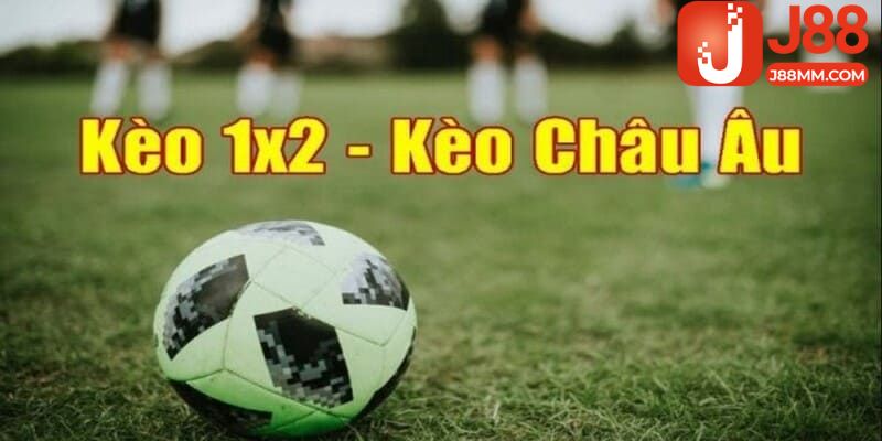 Khám phá cách đọc kèo cược cho người mới Khám phá cách đọc kèo cược cho người mới