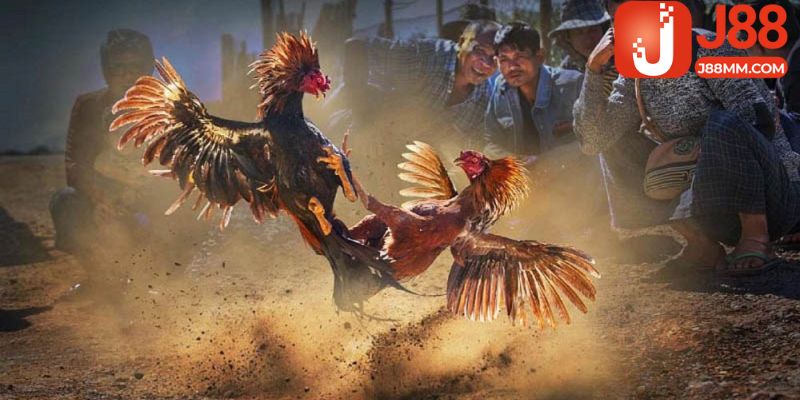 Thời gian mỗi trận diễn ra là 15 phút và giải lao mỗi hiệp 5 phút Thời gian mỗi trận diễn ra là 15 phút và giải lao mỗi hiệp 5 phút